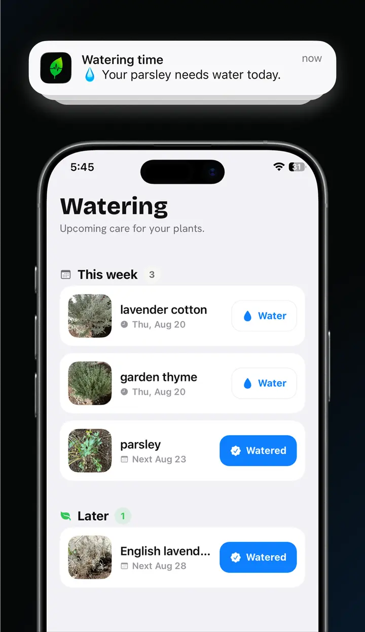 A watering reminder notification reading “Your parsley needs water today”, above the Watering screen grouping plants into This week and Later with a Water button beside each.